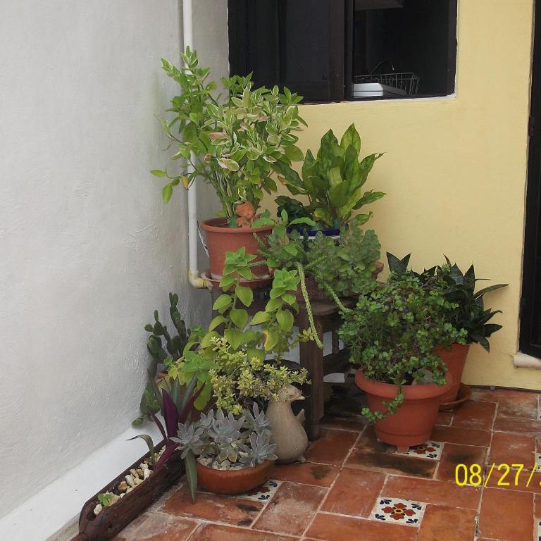 La Casa del Chac - Casa de 2 dormitorios - 15