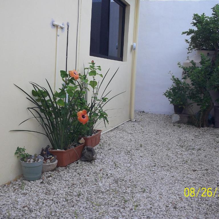La Casa del Chac - Casa de 2 dormitorios - 16