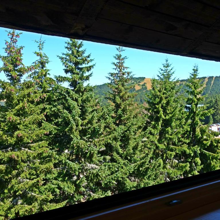 Apartment Sofia-Konaci - Apartment with Mountain View - 10
