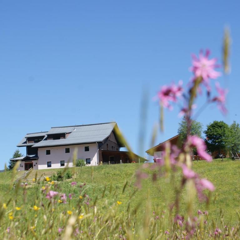 Ferienhaus Kurzenhof Radstadt - Vacation Home - 27