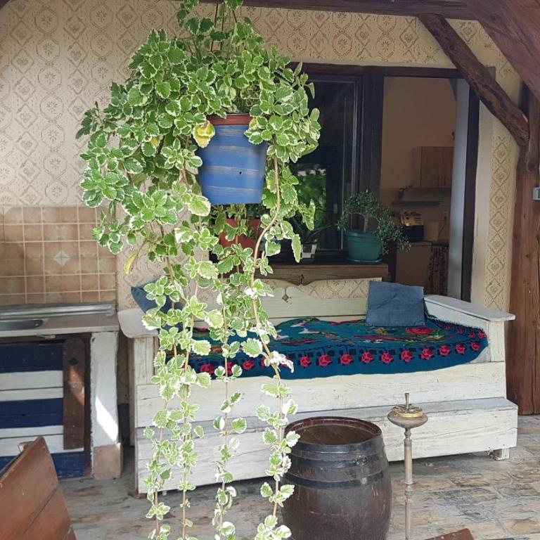 Ciao Apartment - Apartman - 22