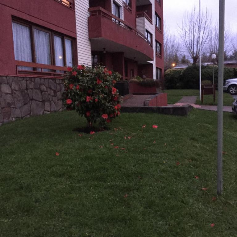 Lihuen Villarrica - Apartment with Garden View - 38