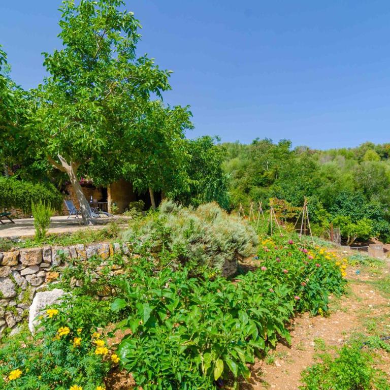 Ses Pedres - Villa de 4 dormitorios - 19