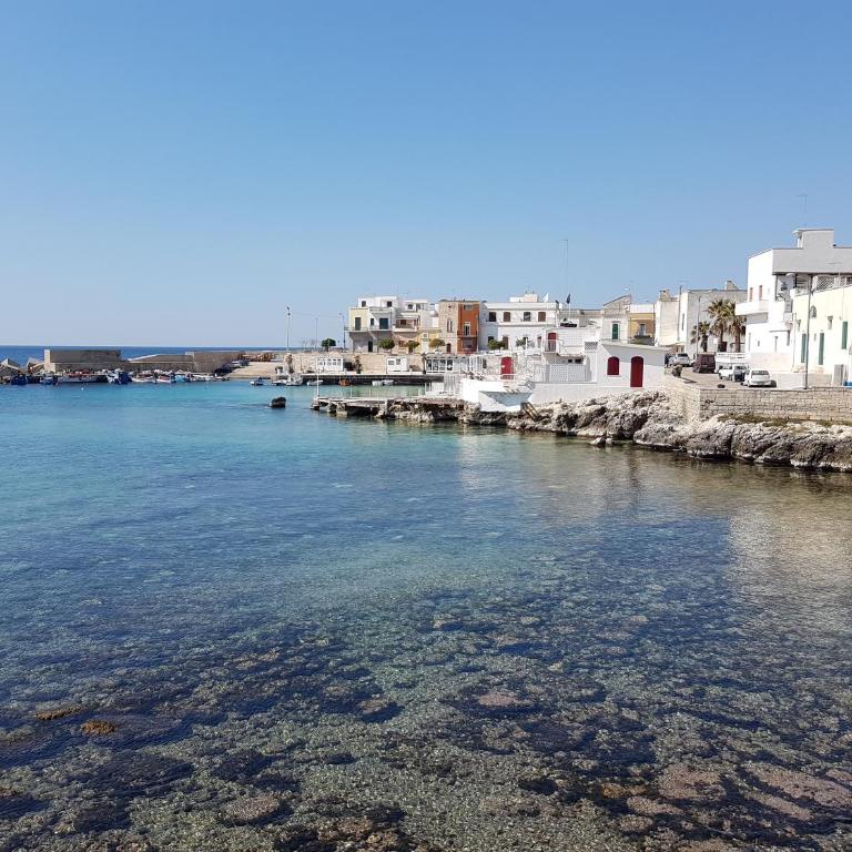 Corte dei Donno Santa Maria al Bagno Gallipoli - Casa Vacanze - 4