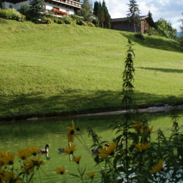 Pension Chalet Bergseegut - Vierbettzimmer - 9