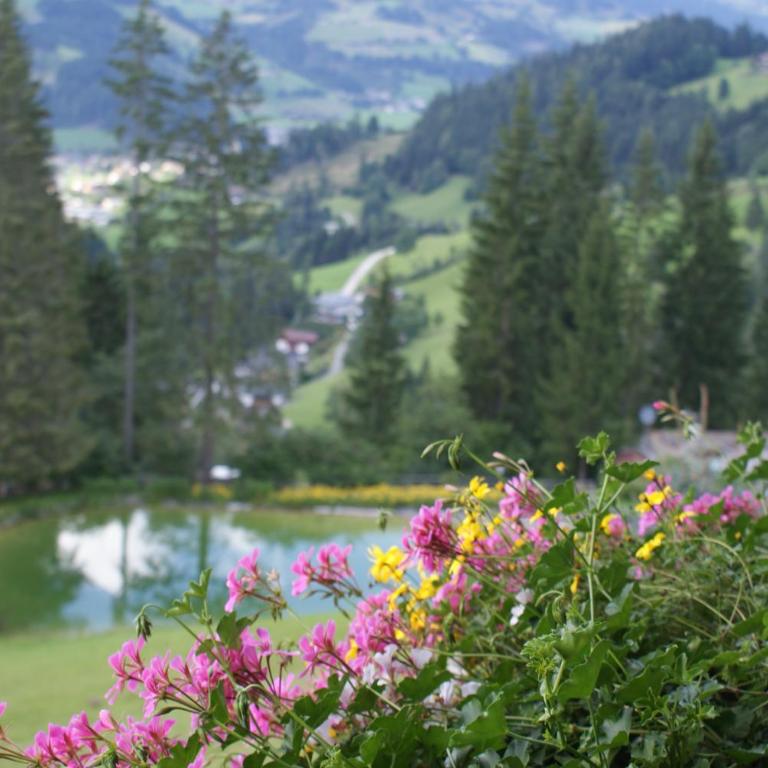 Pension Chalet Bergseegut - Vierbettzimmer - 7