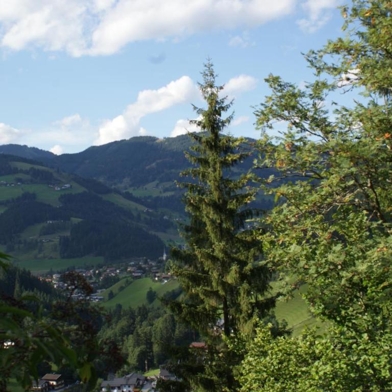 Pension Chalet Bergseegut - Doppelzimmer mit eigenem Bad - 6