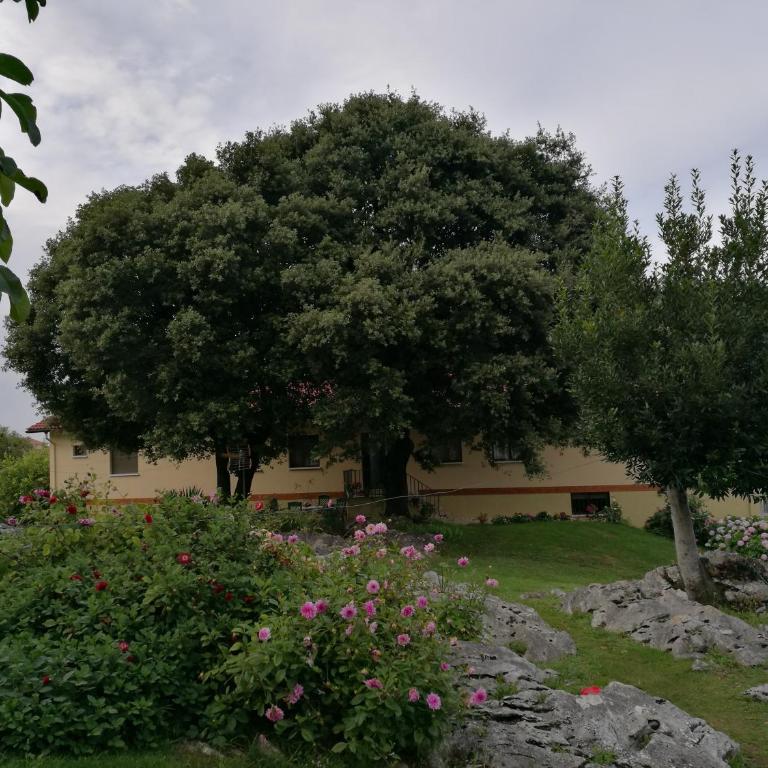 Hotel La Encina Celorio Llanes PARKING - Budget Double Room - 1
