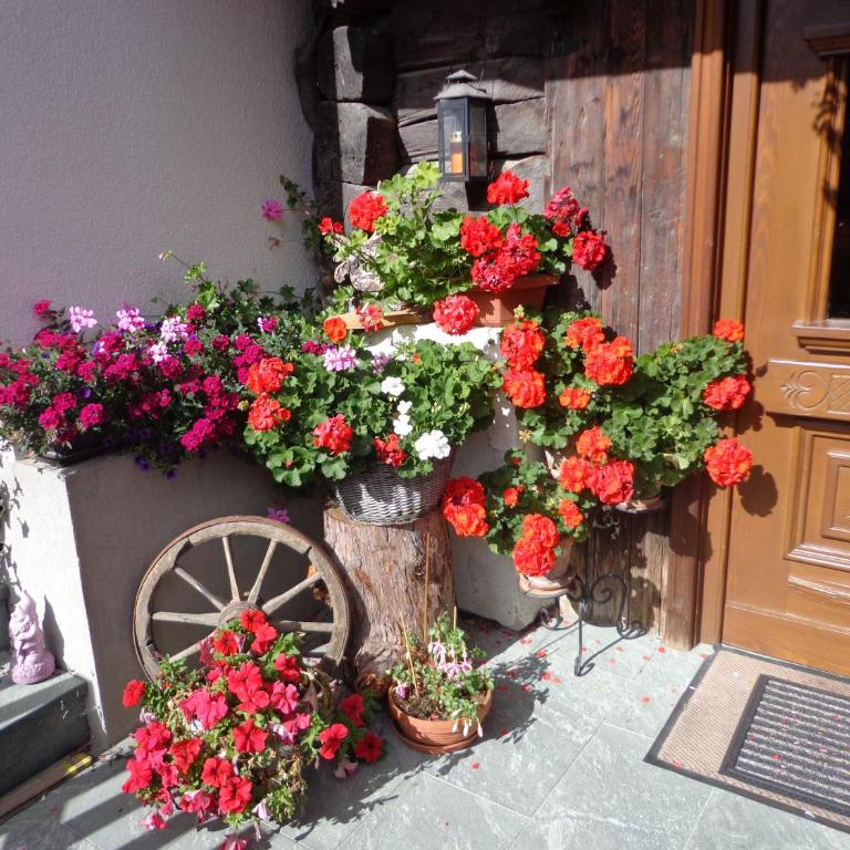 Ferienhaus Grofn - Ferienhaus - 6