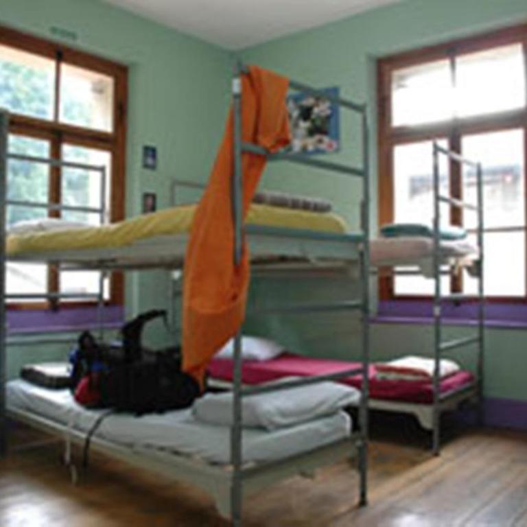 Funny Farm Backpackers - Single Bed in 8-Bed Dormitory Room - 1