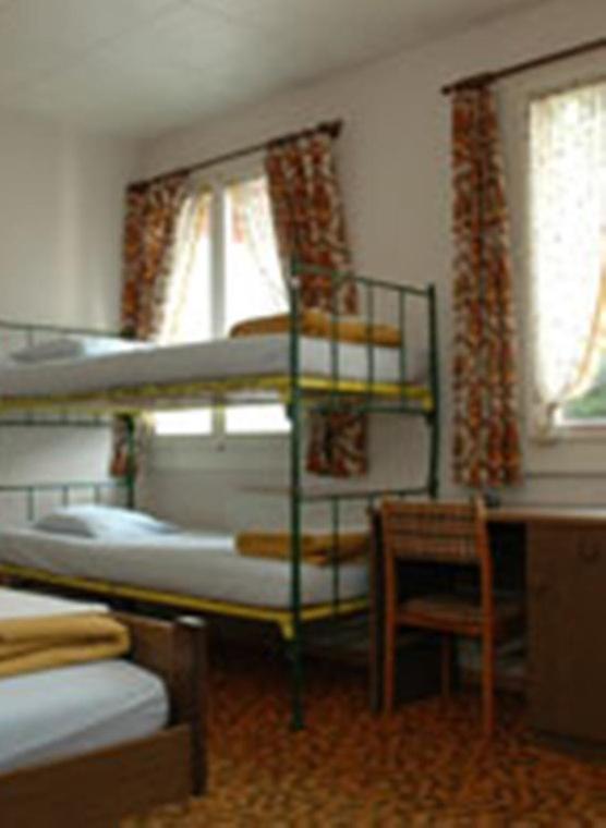 Funny Farm Backpackers - Single Bed in 6-Bed Female Dormitory Room - 1