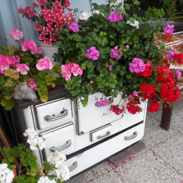 Haus am Wiesenrain - Studio-Apartment - 75