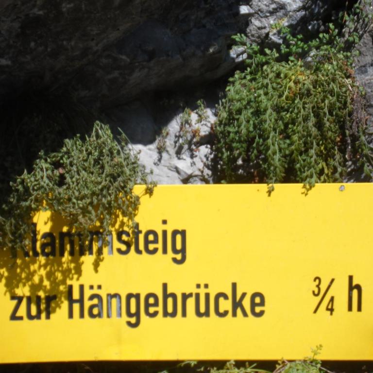 Haus am Wiesenrain - Studio-Apartment - 31