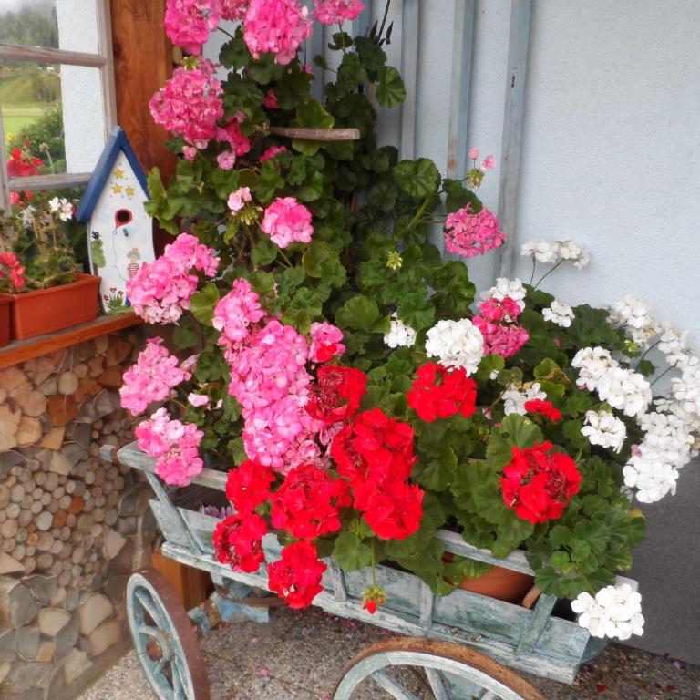 Haus am Wiesenrain - Studio-Apartment - 15