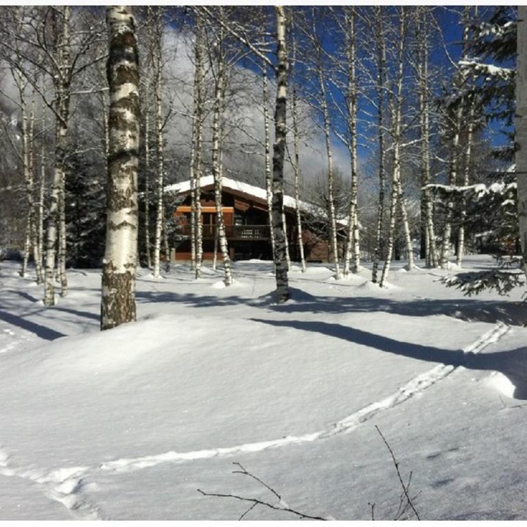 Chalet Champraz - Free Parking - Two-Bedroom Chalet - 1