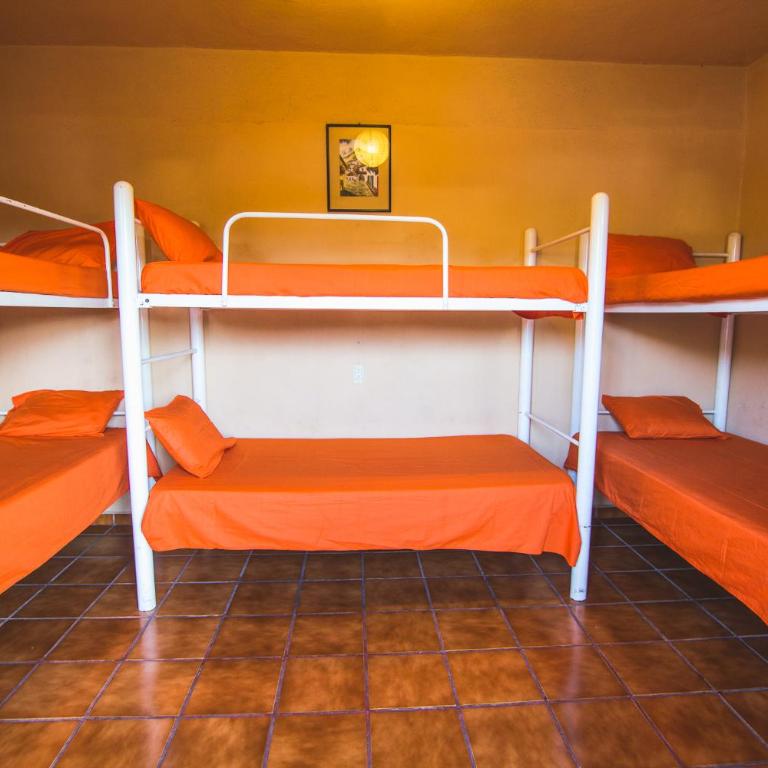 Oasis Hostel - Single Bed in Mixed Dormitory Room - 1