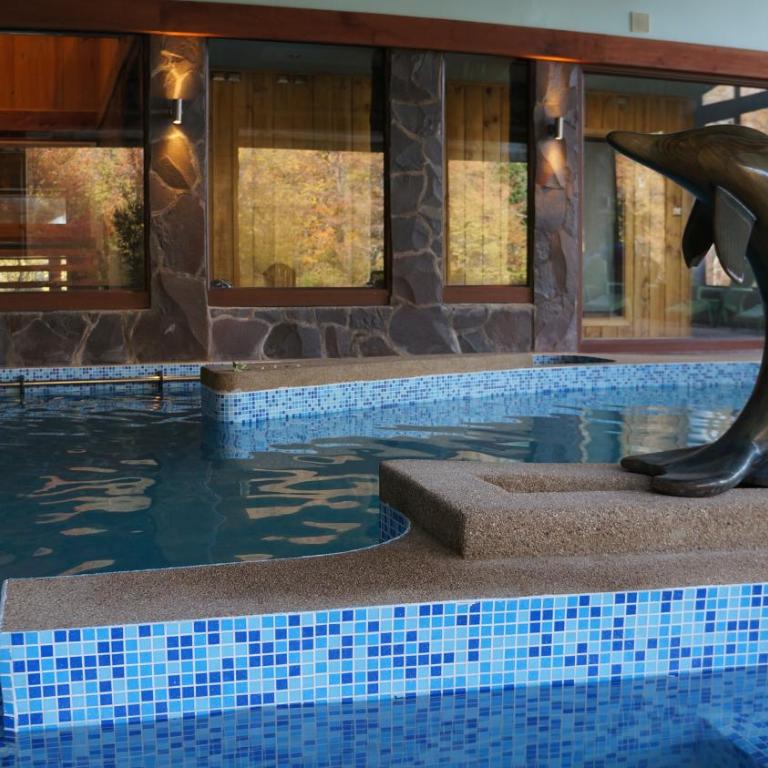 Cabañas Blanche Neige Wellness & SPA - Chalet de 3 dormitorios - 17