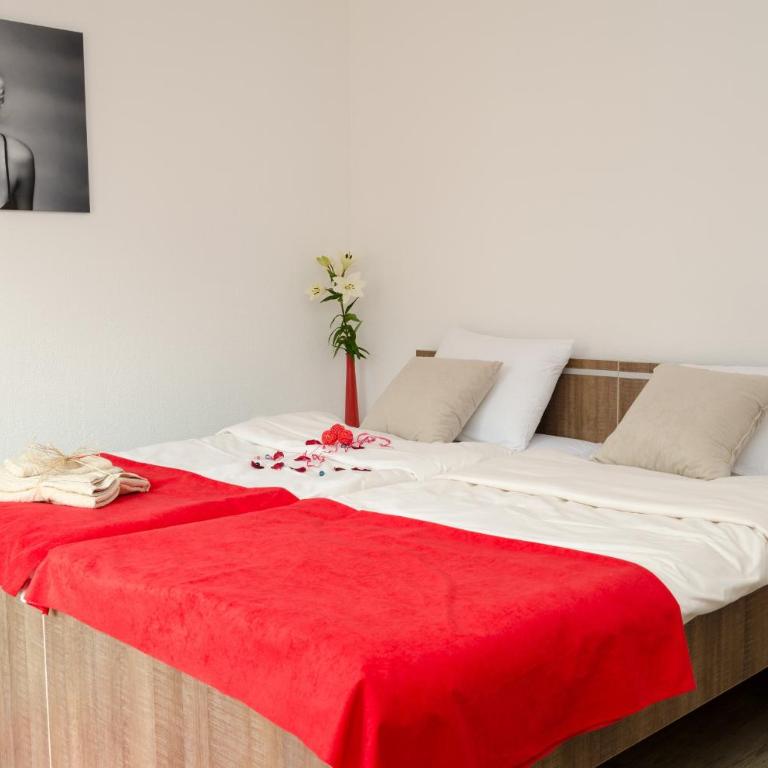 Apartmani Maja Sokobanja - Standardni Studio - 13