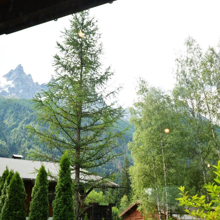 Chalet Champraz - Free Parking - Two-Bedroom Chalet - 31