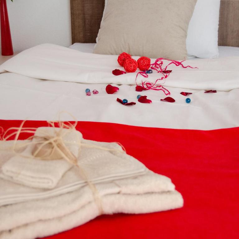Apartmani Maja Sokobanja - Standardni Studio - 5