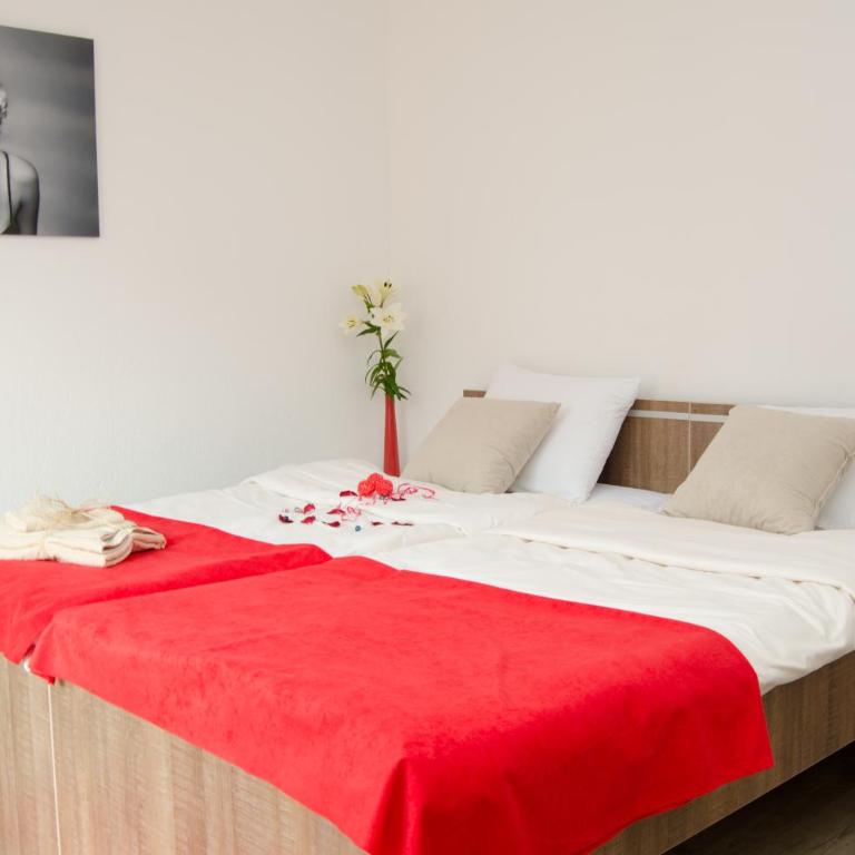 Apartmani Maja Sokobanja - Standardni Studio - 8