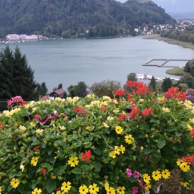Gästehaus Tarmann - Apartment mit 1 Schlafzimmer und Seeblick - 6