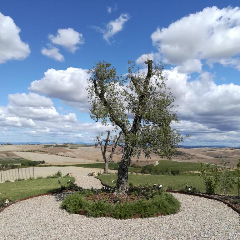 Casanova di Neri Relais - Suite con Vista Giardino - 15
