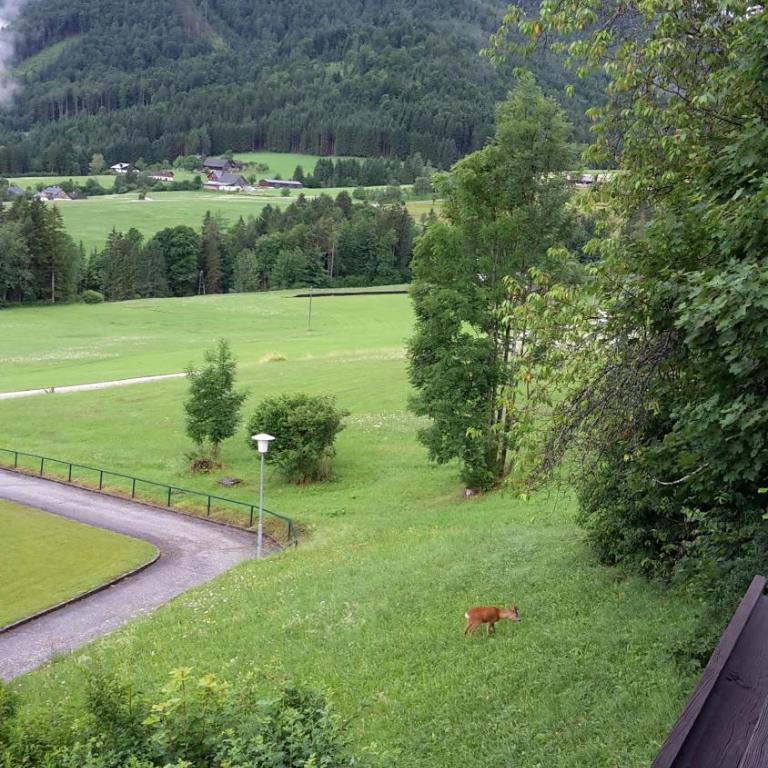 Alpencottage Bad Aussee - Apartment mit Balkon - 4
