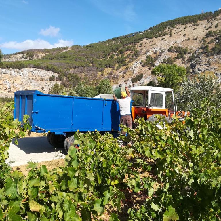 Villa Bonifato alloggo a uso turistico vista sulle campagne e sul mare siciliano - Villa - 57