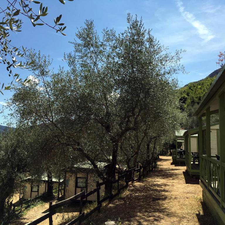 Camping Domaine Sainte Madeleine - Chalet 2 Chambres - 3