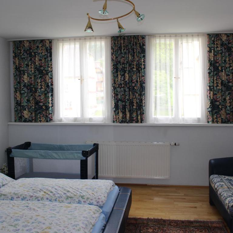 Haus Tritscher-Gruber - Appartamento con 2 Camere da Letto - 16