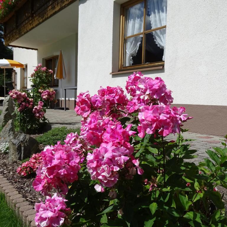 Alpenfrieden - Nauders - Apartment mit 1 Schlafzimmer - 2