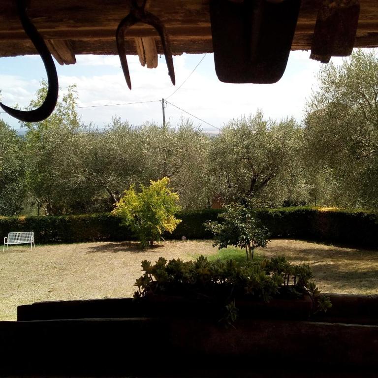 Vignano40 - Casa con 2 Camere da Letto - 29
