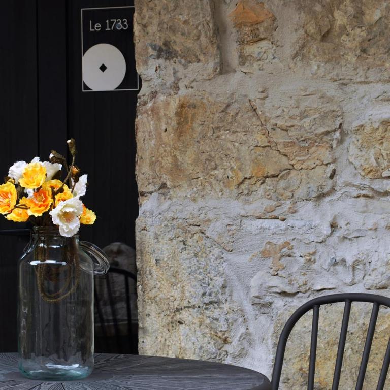 Le MOULIN des CHARTREUX - 1733 - Appartement - 6