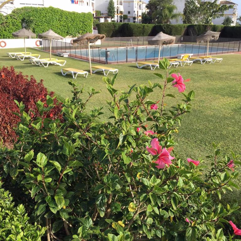 Estudio a 10 minutos del Puerto Banus - Estudio Estándar - 16