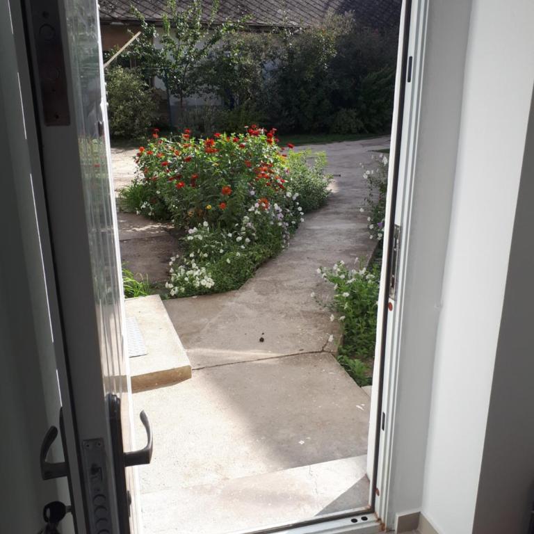 Apartment Milijana - Apartment - 25