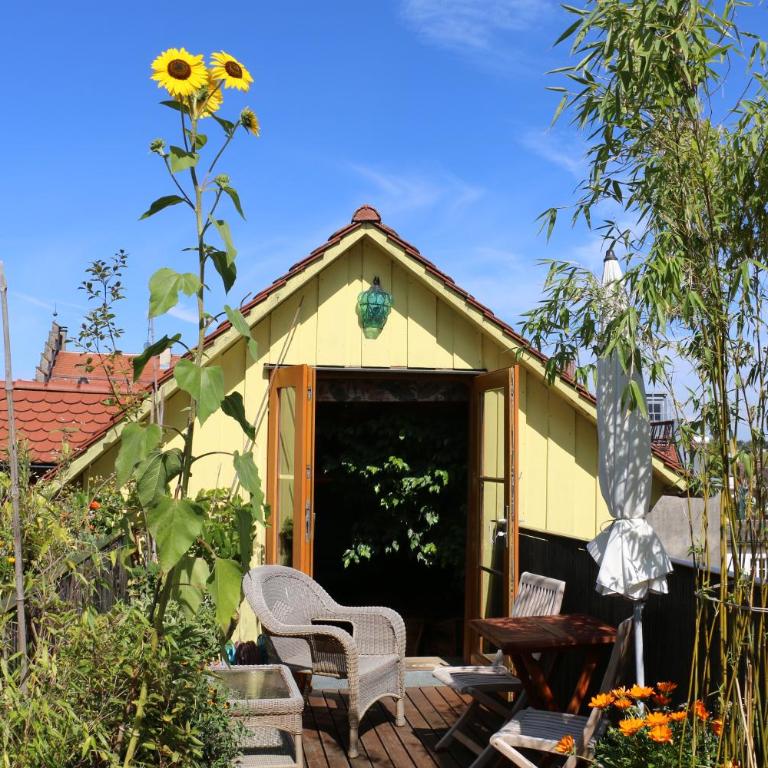 Bio-Ferienwohnung Ellensohn - Studio mit Terrasse - 10