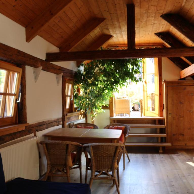 Bio-Ferienwohnung Ellensohn - Studio mit Terrasse - 5