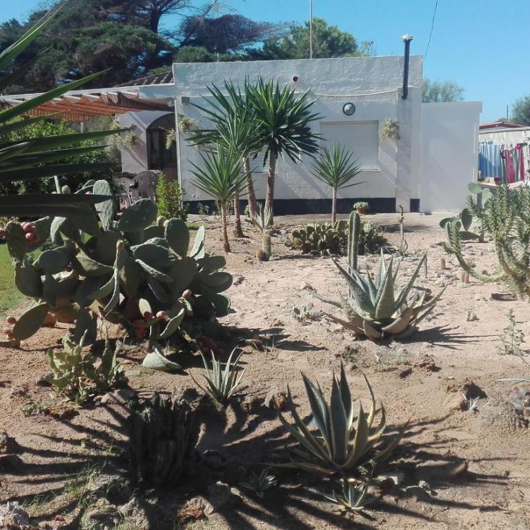 En Finca Las Dunas dos Chalets con jacuzzis en primera linea de playa , uno de 4 dormitorios y otro de 2 dormitorios, Llama al Seiscientos veintisiete Cuatrocientos diecisiete Trescientos noventa y ocho - Chalet - 31