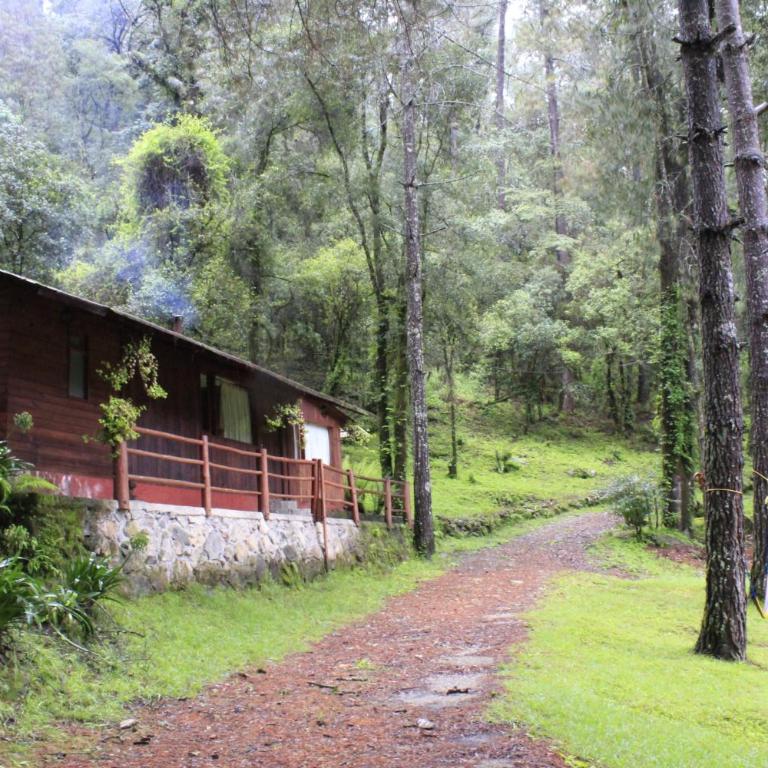 Cabañas Alpinas López Fontes - Chalet - 2