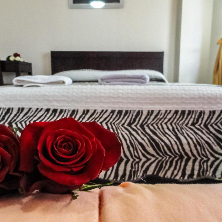 Hostal La Rosa Otavalo - Habitación Doble Superior - 1 cama extragrande o 2 individuales - 8