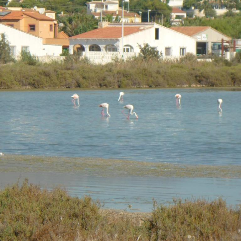 Panorama - Apartamento con vistas al mar - 30