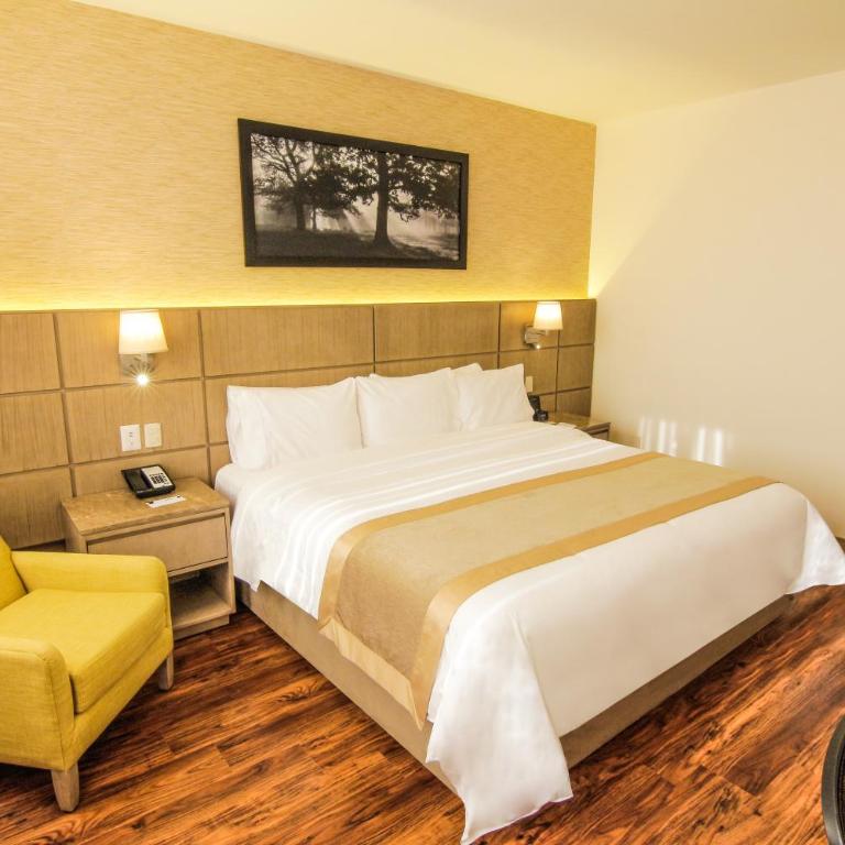 Radisson Hotel Guayaquil - King Room - Non-Smoking - 3