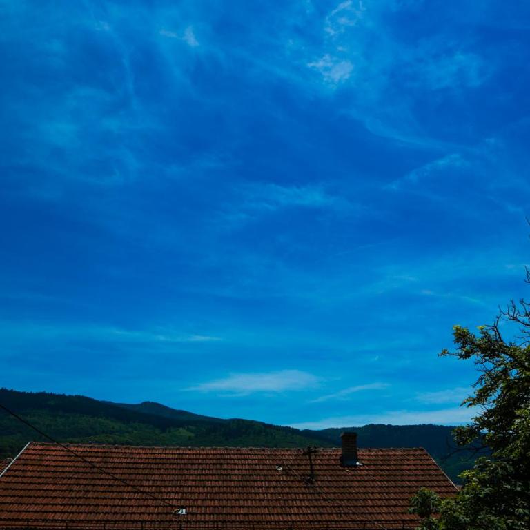 Mejdan Apartmant - Apartman - 15