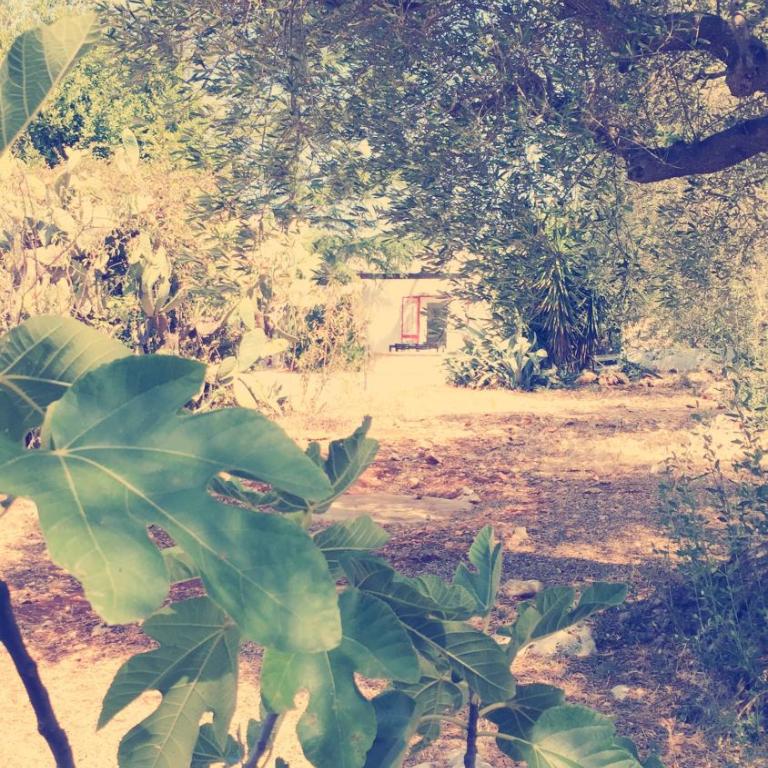 Trullo Riccardo - Casa Vacanze - 74