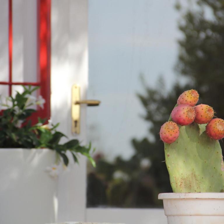 Trullo Riccardo - Casa Vacanze - 7
