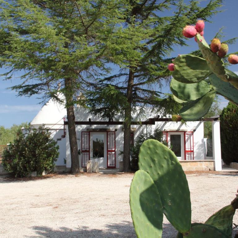 Trullo Riccardo - Casa Vacanze - 3