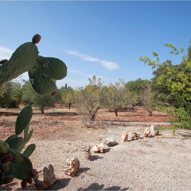 Trullo Riccardo - Casa Vacanze - 12