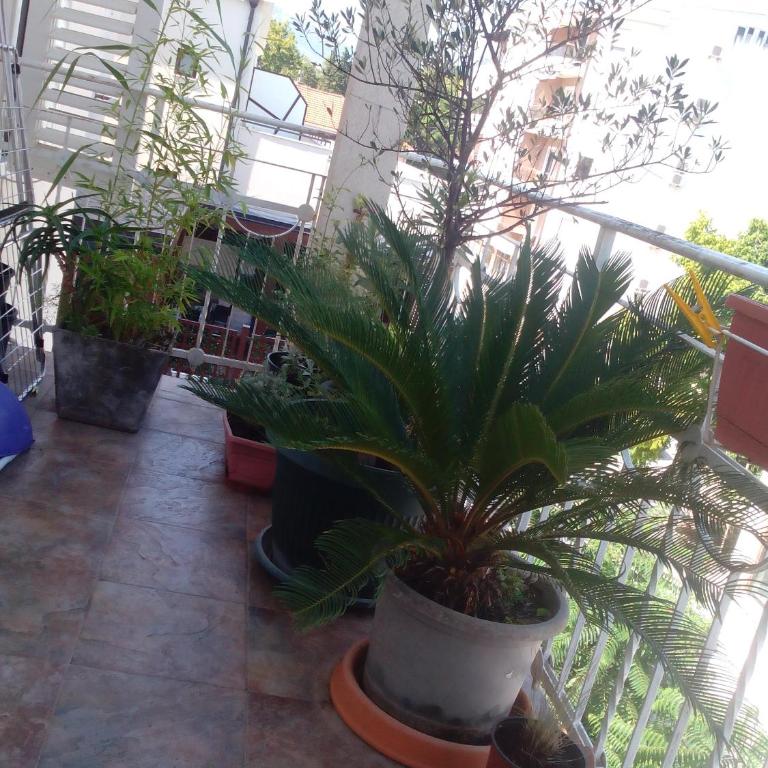 Mulo Staničića - Apartman sa 2 Spavaće Sobe i Pogledom na More - 28