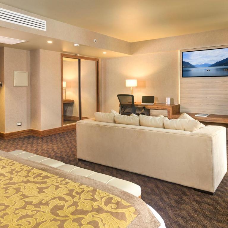 Hotel Regal Pacific Santiago - Habitación Deluxe con cama extragrande - 3